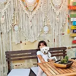 Kaktues Boutique Σιντέ