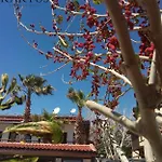 Hotel Kaktues Boutique