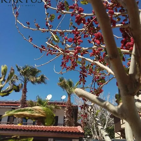 Szálloda Kaktues Boutique