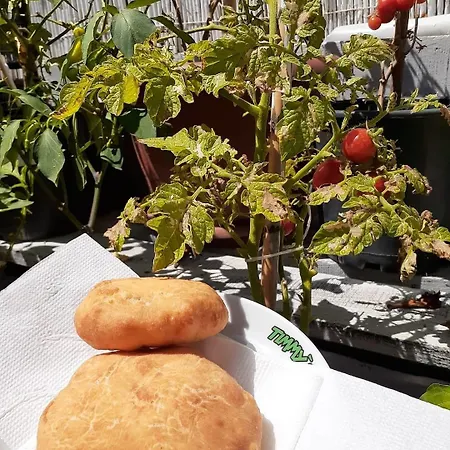 Kaktues Boutique * Side