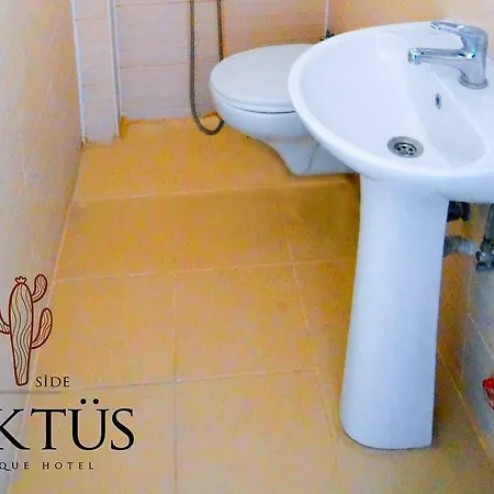 Kaktues Boutique Side