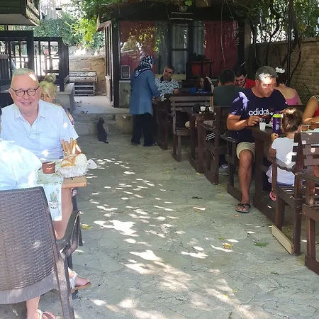 Kaktues Boutique Hotell *