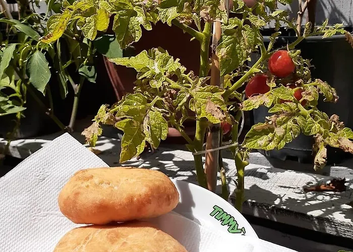 Kaktues Boutique * סייד