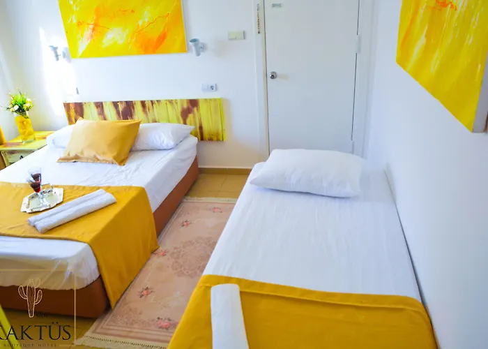 Kaktues Boutique * סייד