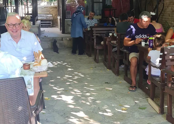 Kaktues Boutique מלון *