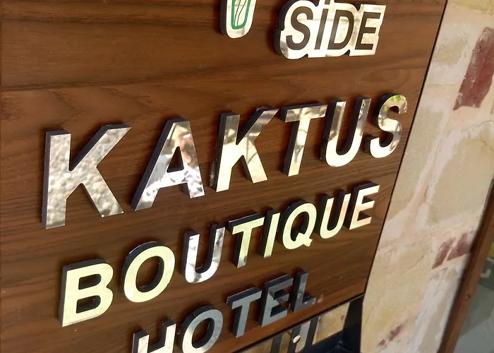 Kaktues Boutique סייד