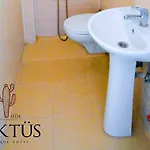 Kaktues Boutique 시데