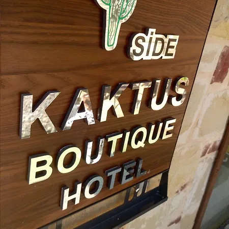Kaktues Boutique سيدي